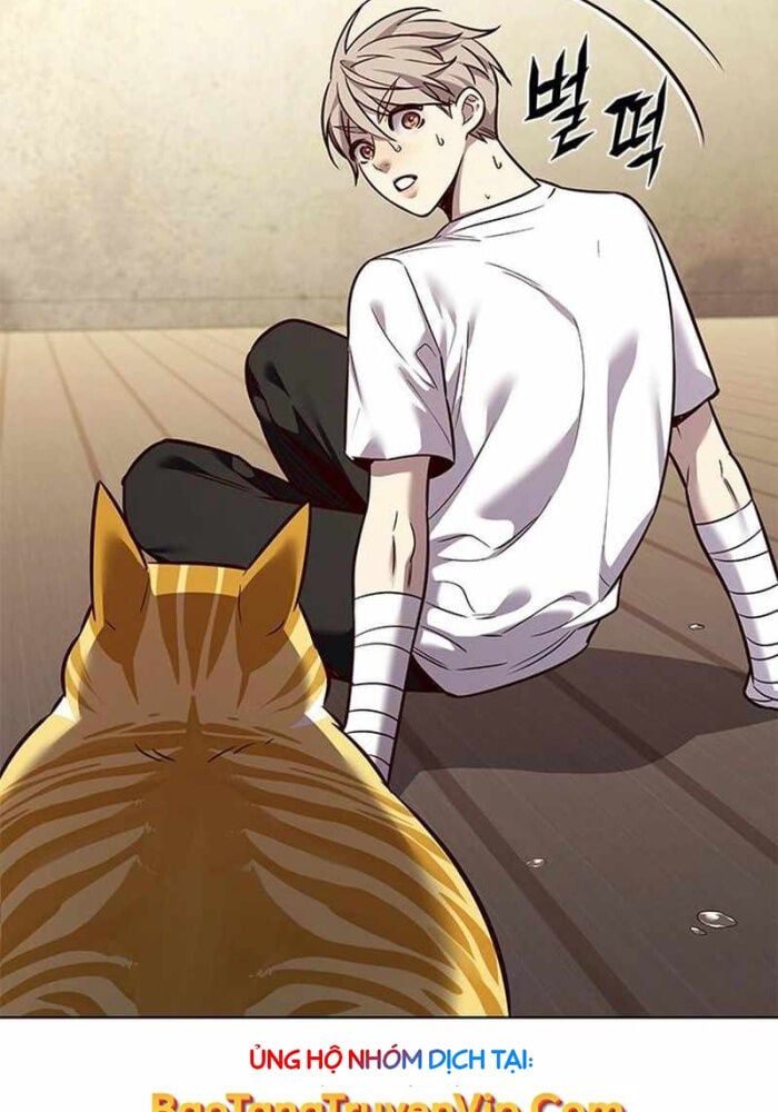 đọc truyện Hóa Thân Thành Mèo Chương 330 ảnh 9 tại Thiên Thai Truyện