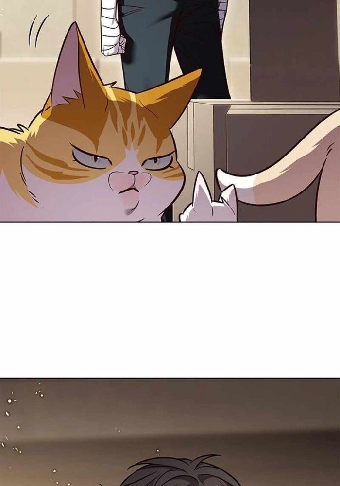 đọc truyện Hóa Thân Thành Mèo Chương 330 ảnh 85 tại Thiên Thai Truyện