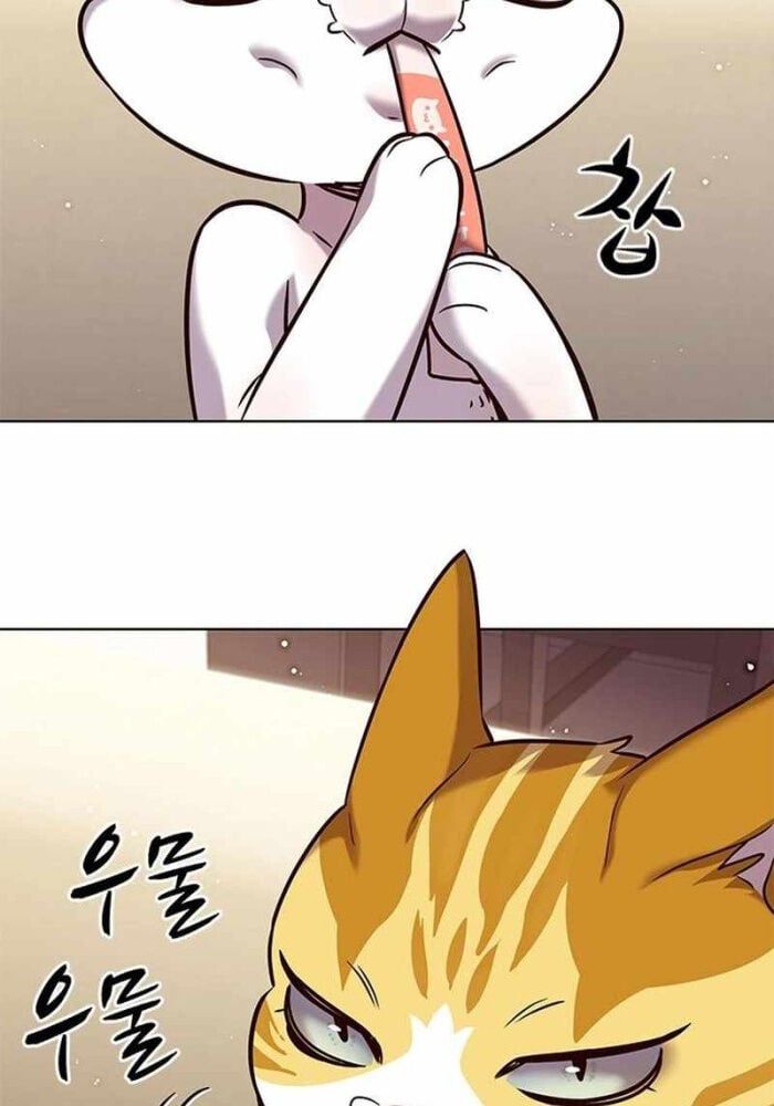 đọc truyện Hóa Thân Thành Mèo Chương 330 ảnh 99 tại Thiên Thai Truyện