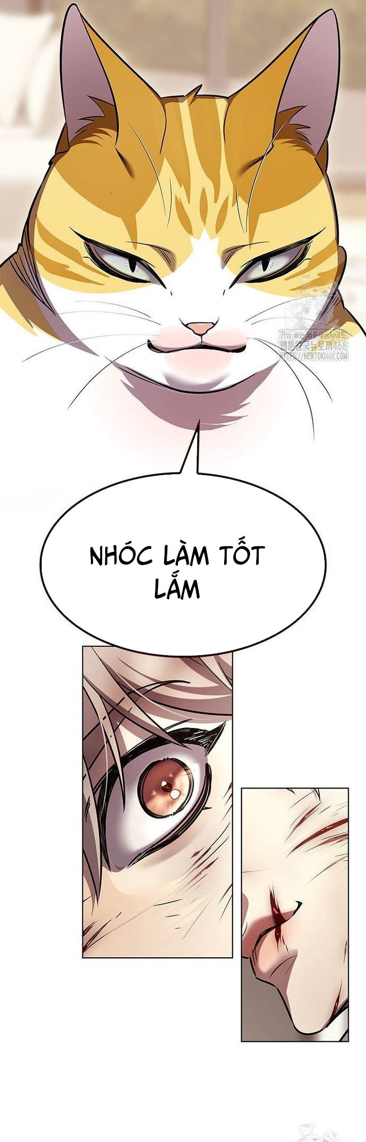 đọc truyện Hóa Thân Thành Mèo Chương 336 ảnh 34 tại Thiên Thai Truyện