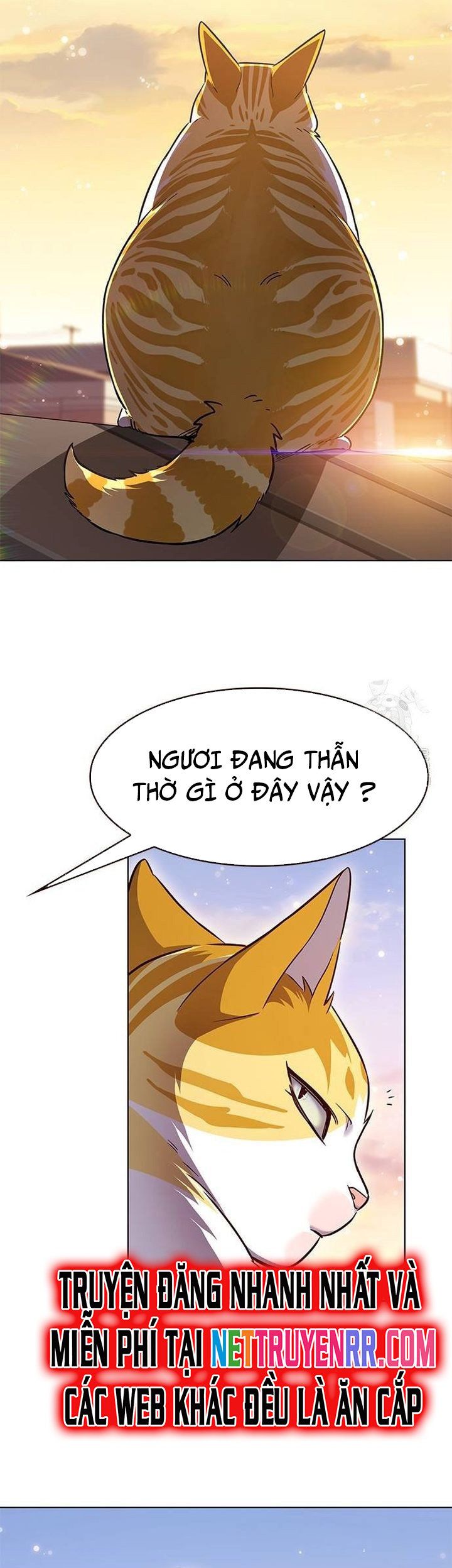 đọc truyện Hóa Thân Thành Mèo Chương 336 ảnh 43 tại Thiên Thai Truyện