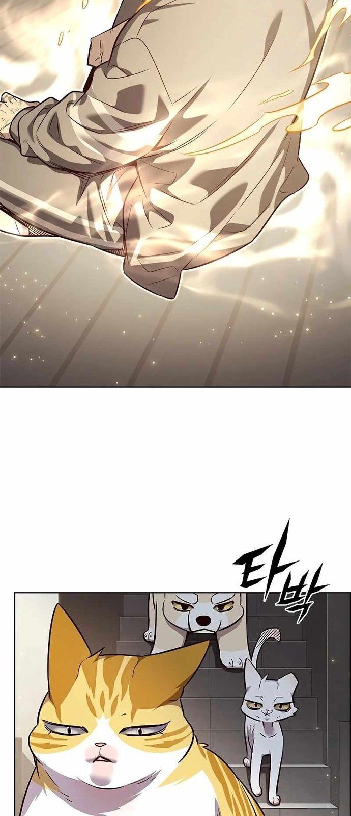 đọc truyện Hóa Thân Thành Mèo Chương 337 ảnh 29 tại Thiên Thai Truyện