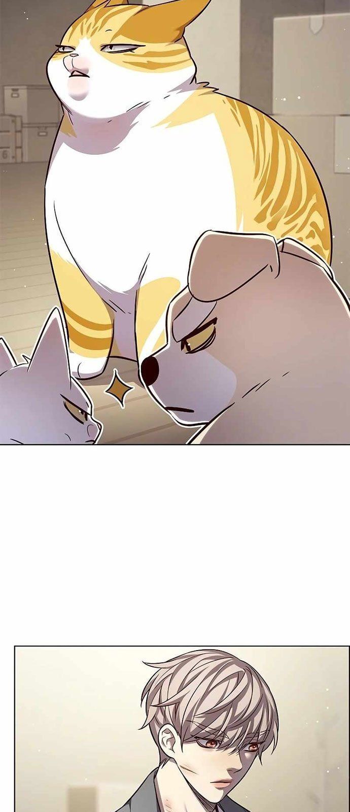 đọc truyện Hóa Thân Thành Mèo Chương 337 ảnh 34 tại Thiên Thai Truyện