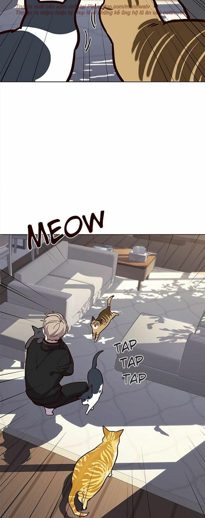 đọc truyện Hóa Thân Thành Mèo Chương 34 ảnh 47 tại Thiên Thai Truyện