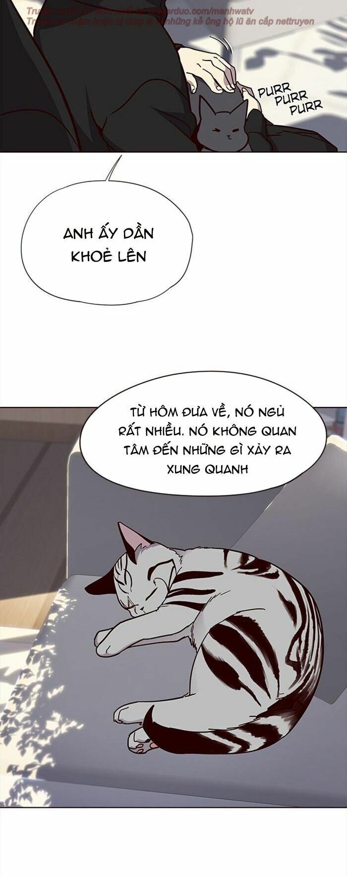 đọc truyện Hóa Thân Thành Mèo Chương 34 ảnh 51 tại Thiên Thai Truyện