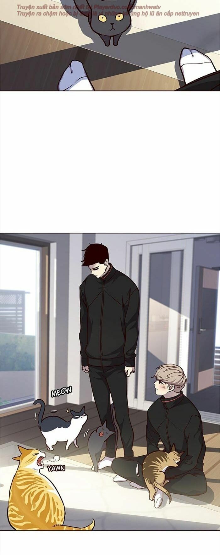 đọc truyện Hóa Thân Thành Mèo Chương 34 ảnh 57 tại Thiên Thai Truyện