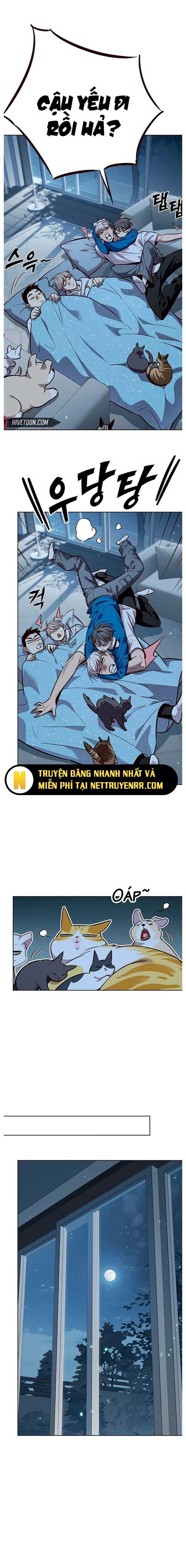 đọc truyện Hóa Thân Thành Mèo Chương 345 ảnh 12 tại Thiên Thai Truyện