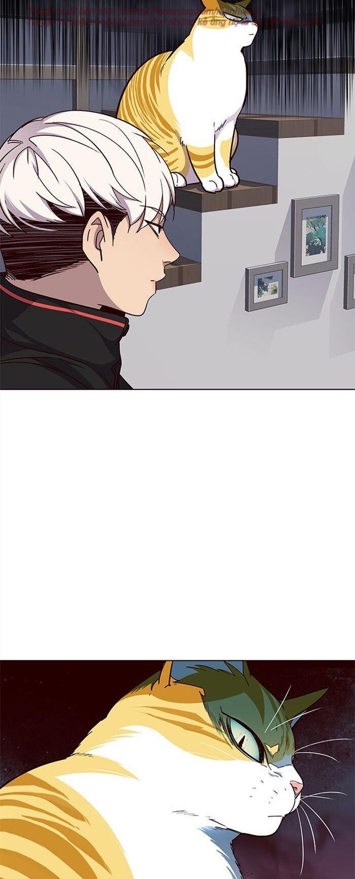 đọc truyện Hóa Thân Thành Mèo Chương 35 ảnh 15 tại Thiên Thai Truyện