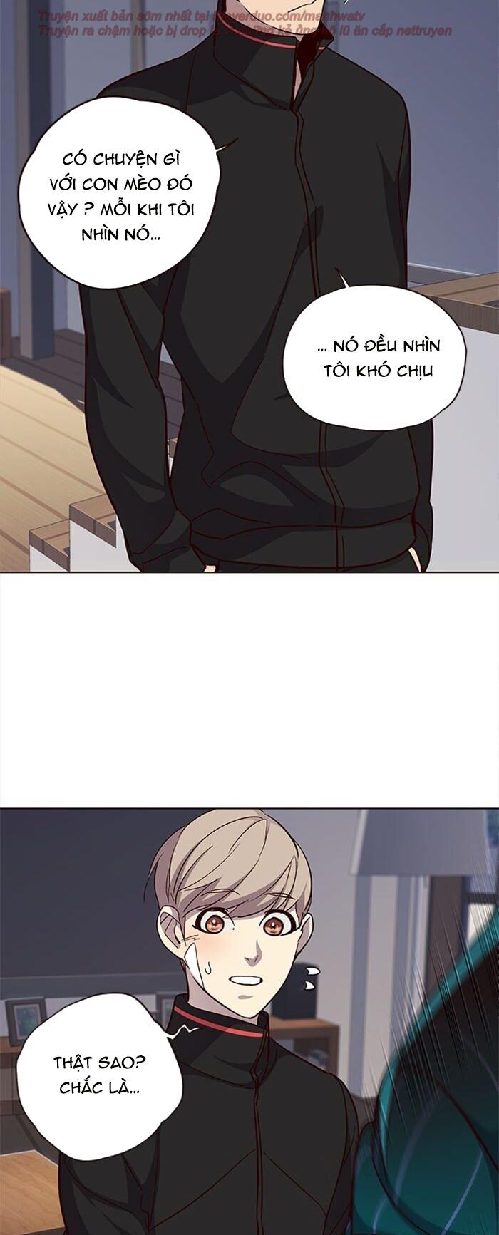 đọc truyện Hóa Thân Thành Mèo Chương 35 ảnh 17 tại Thiên Thai Truyện