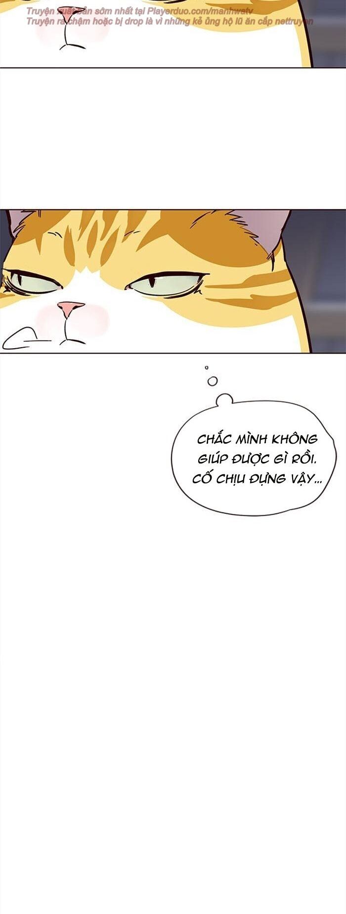 đọc truyện Hóa Thân Thành Mèo Chương 35 ảnh 36 tại Thiên Thai Truyện