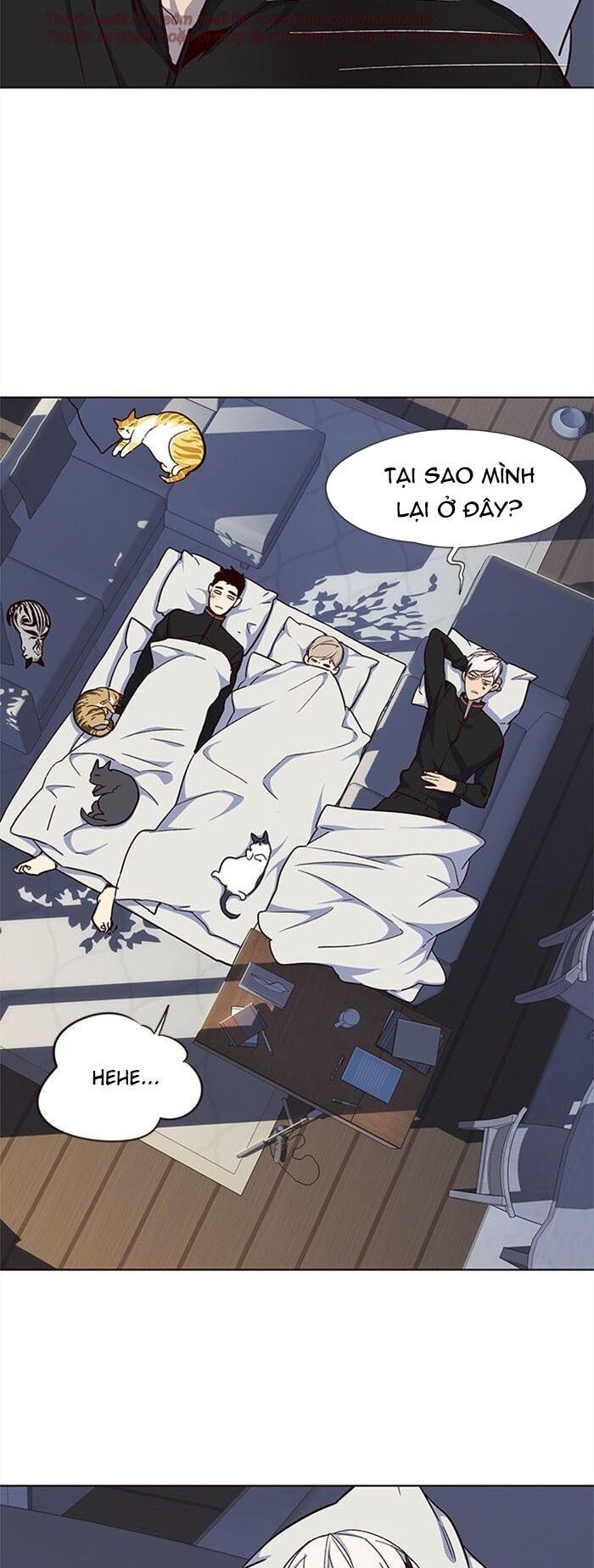 đọc truyện Hóa Thân Thành Mèo Chương 35 ảnh 42 tại Thiên Thai Truyện