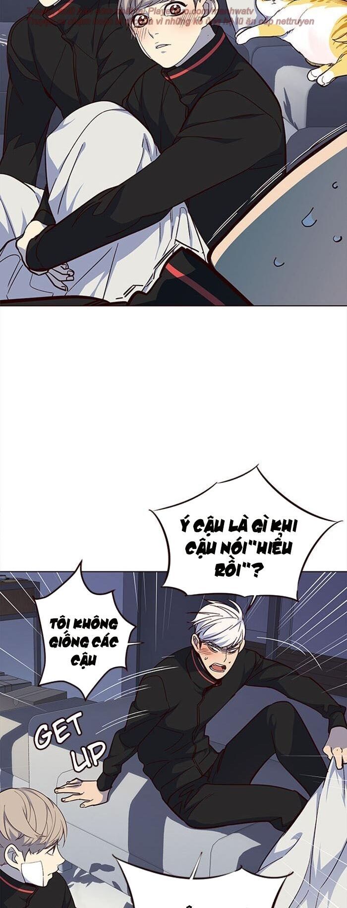 đọc truyện Hóa Thân Thành Mèo Chương 35 ảnh 52 tại Thiên Thai Truyện