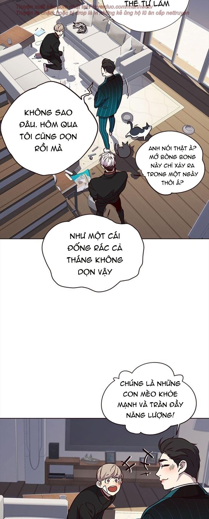 đọc truyện Hóa Thân Thành Mèo Chương 35 ảnh 9 tại Thiên Thai Truyện