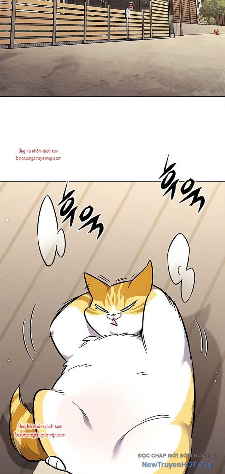 đọc truyện Hóa Thân Thành Mèo Chương 355 ảnh 54 tại Thiên Thai Truyện