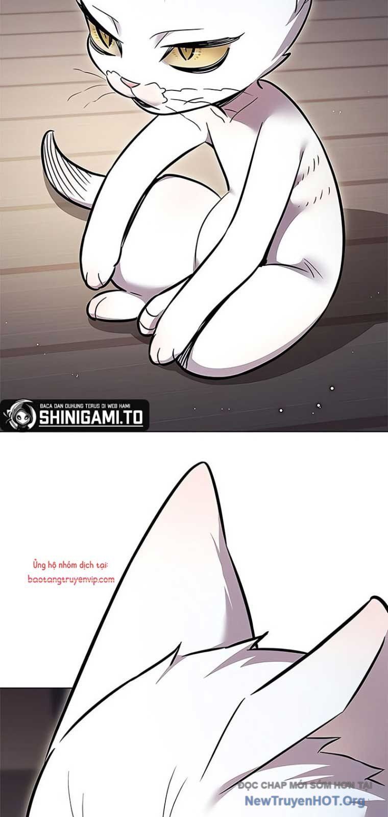 đọc truyện Hóa Thân Thành Mèo Chương 355 ảnh 64 tại Thiên Thai Truyện