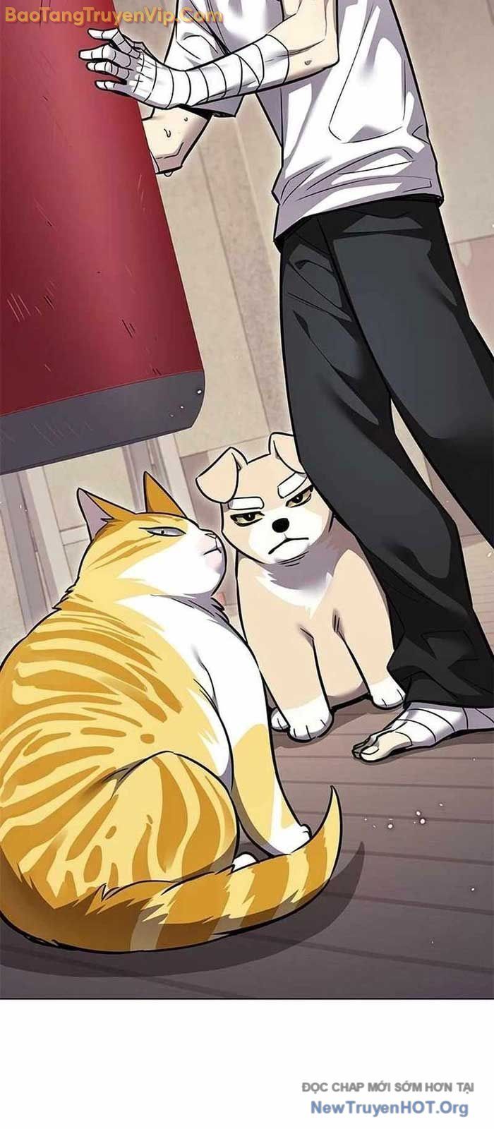 đọc truyện Hóa Thân Thành Mèo Chương 356 ảnh 80 tại Thiên Thai Truyện