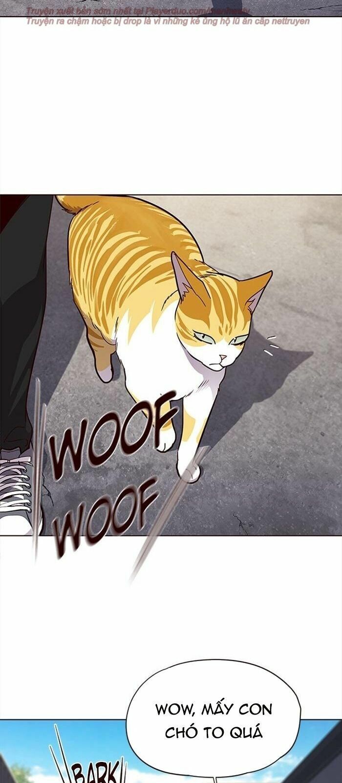 đọc truyện Hóa Thân Thành Mèo Chương 36 ảnh 106 tại Thiên Thai Truyện