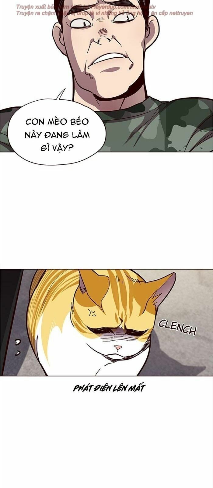 đọc truyện Hóa Thân Thành Mèo Chương 36 ảnh 112 tại Thiên Thai Truyện