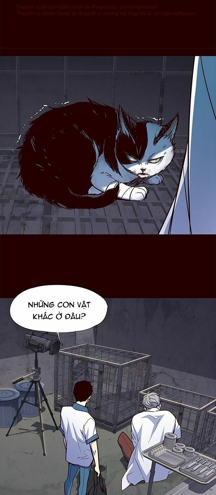 đọc truyện Hóa Thân Thành Mèo Chương 36 ảnh 18 tại Thiên Thai Truyện