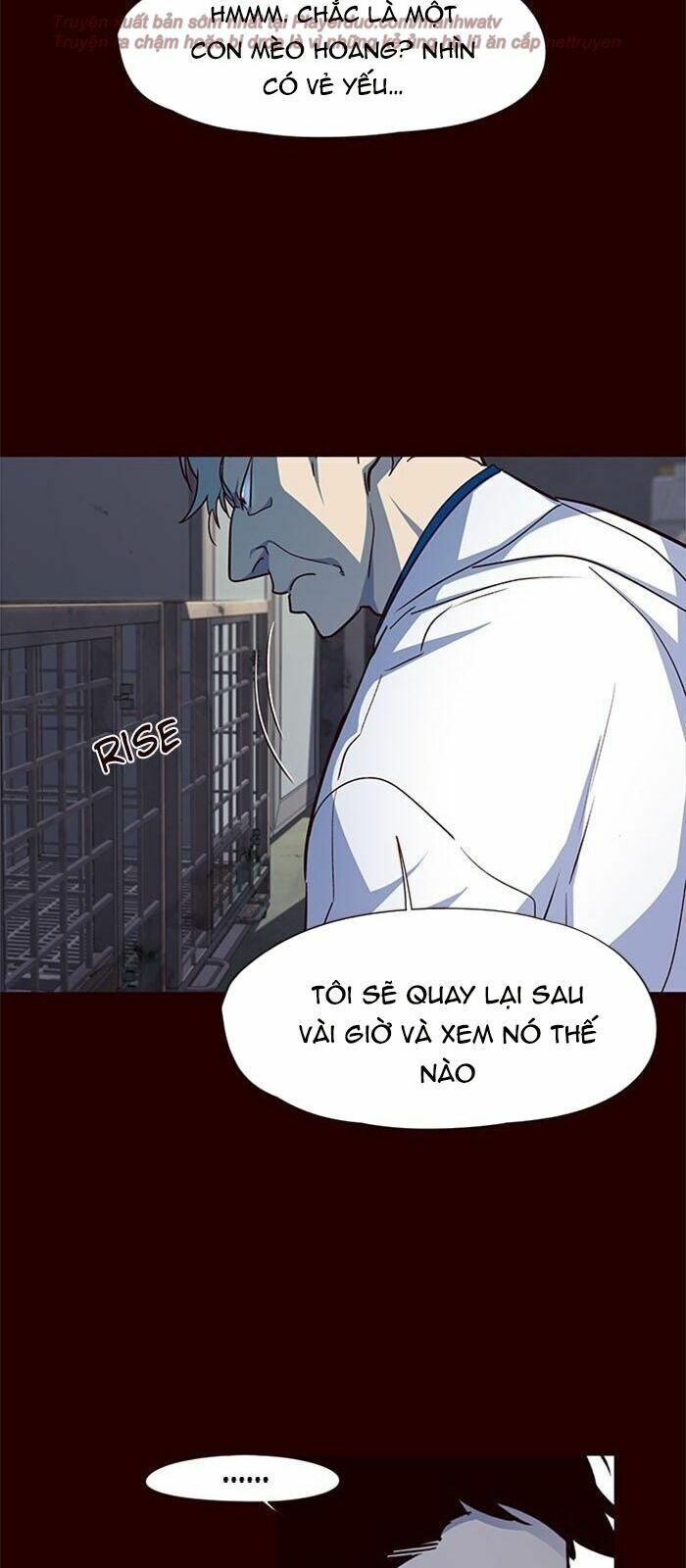 đọc truyện Hóa Thân Thành Mèo Chương 36 ảnh 22 tại Thiên Thai Truyện