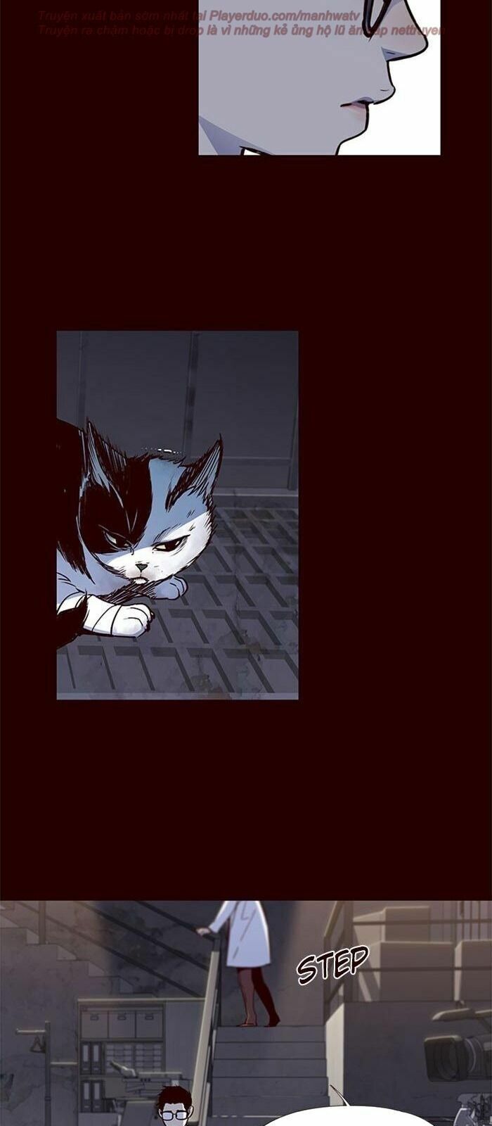 đọc truyện Hóa Thân Thành Mèo Chương 36 ảnh 24 tại Thiên Thai Truyện