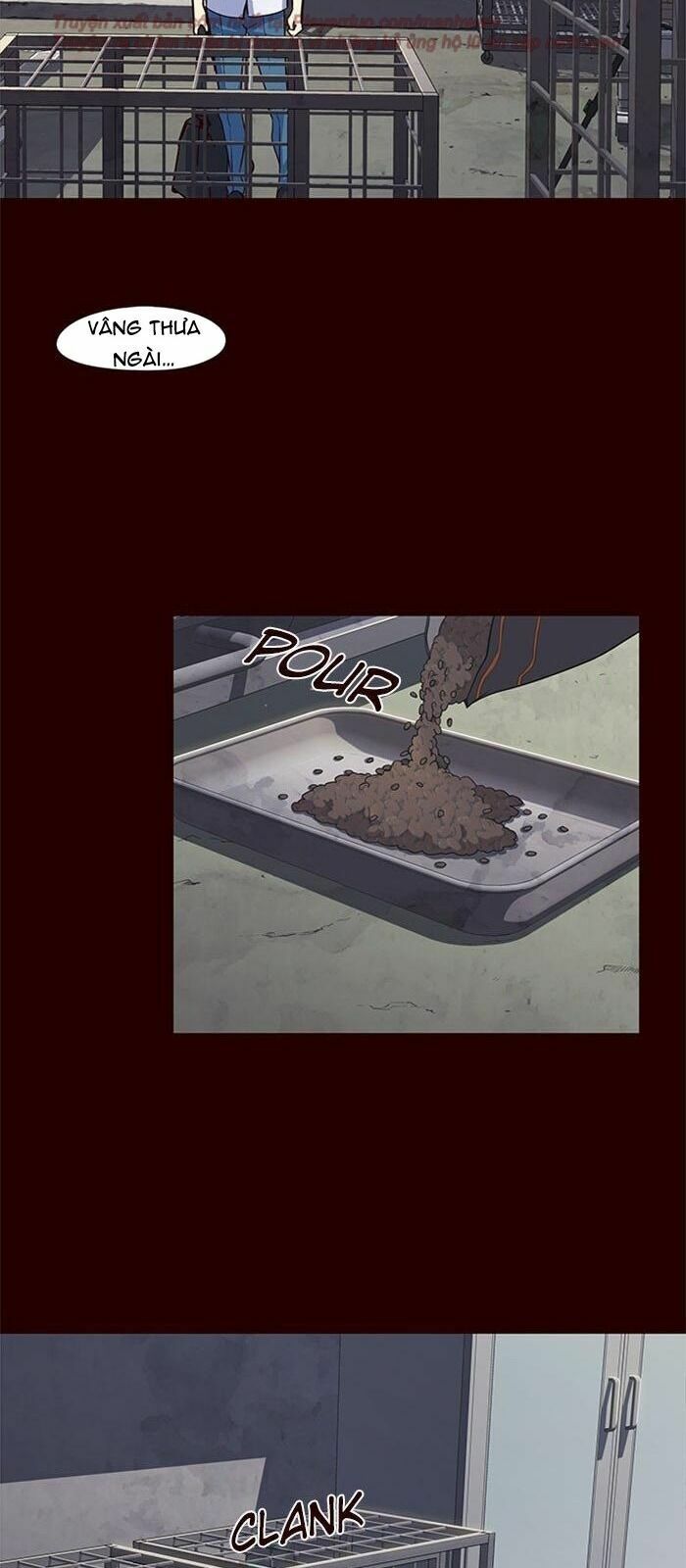 đọc truyện Hóa Thân Thành Mèo Chương 36 ảnh 26 tại Thiên Thai Truyện