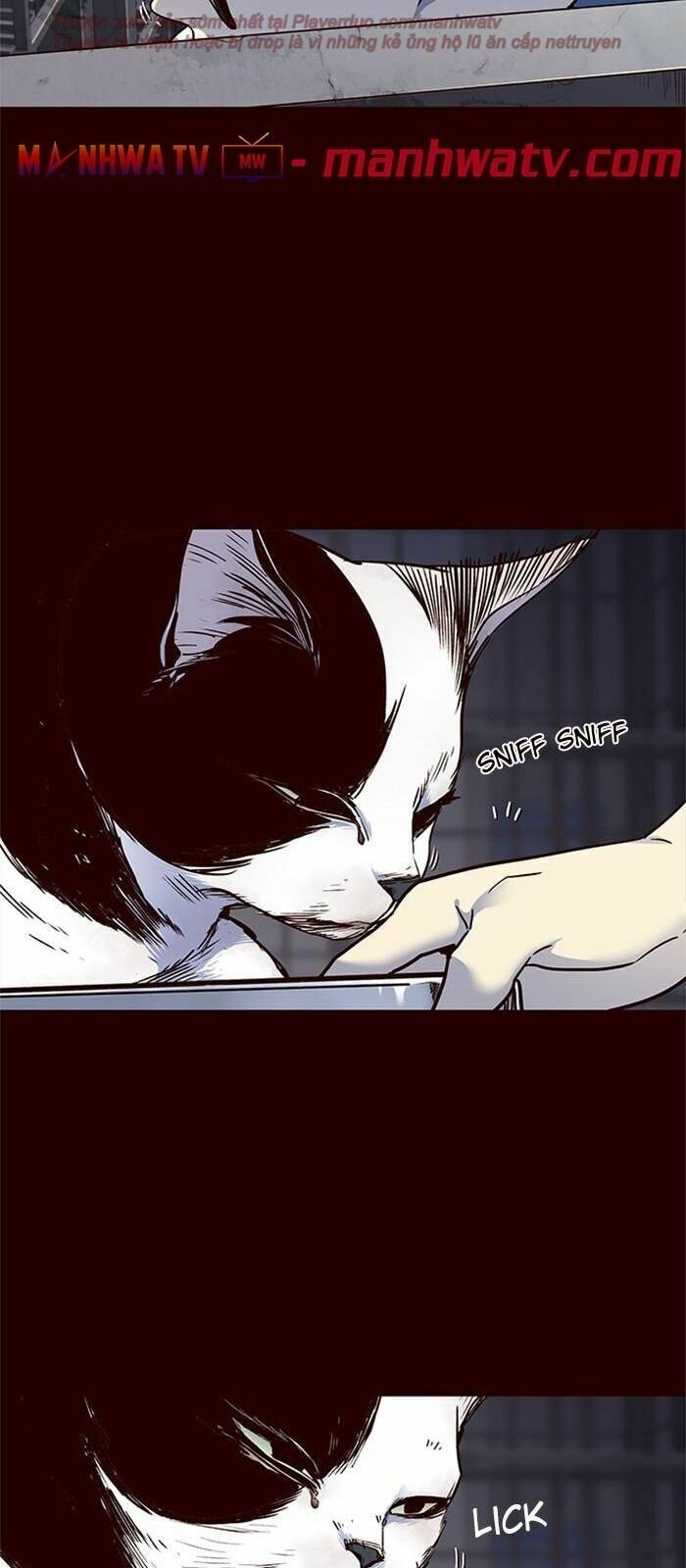 đọc truyện Hóa Thân Thành Mèo Chương 36 ảnh 30 tại Thiên Thai Truyện