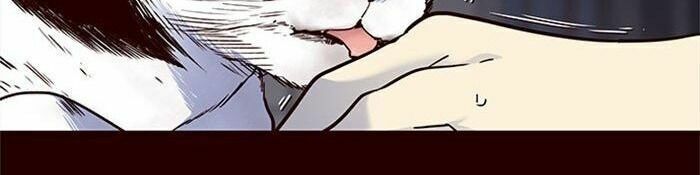 đọc truyện Hóa Thân Thành Mèo Chương 36 ảnh 31 tại Thiên Thai Truyện