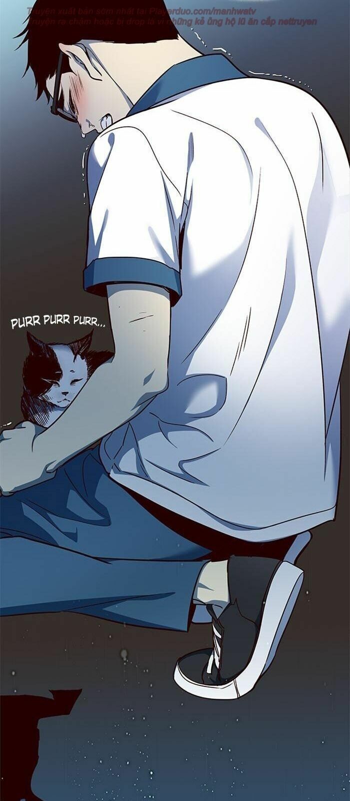 đọc truyện Hóa Thân Thành Mèo Chương 36 ảnh 36 tại Thiên Thai Truyện