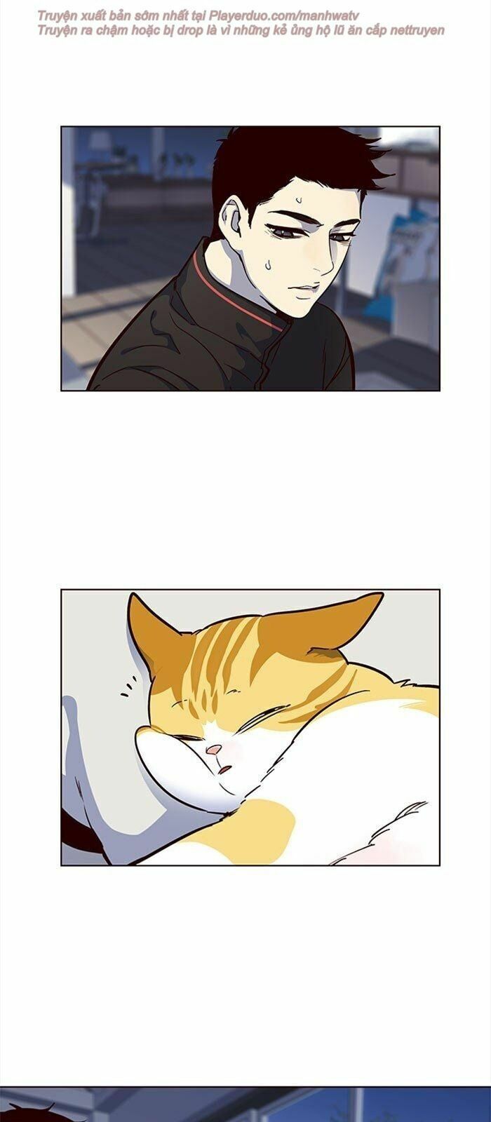 đọc truyện Hóa Thân Thành Mèo Chương 36 ảnh 58 tại Thiên Thai Truyện