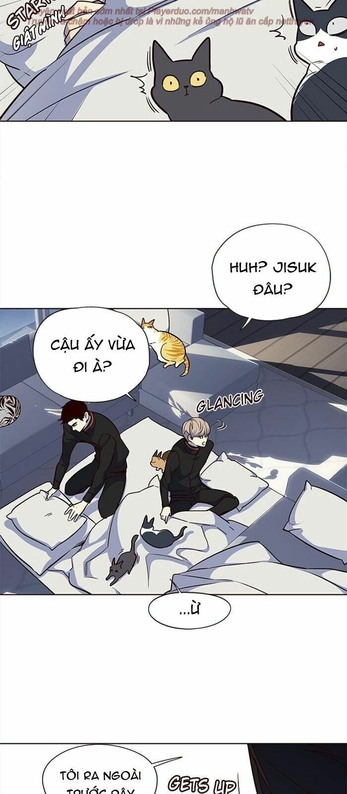 đọc truyện Hóa Thân Thành Mèo Chương 36 ảnh 70 tại Thiên Thai Truyện