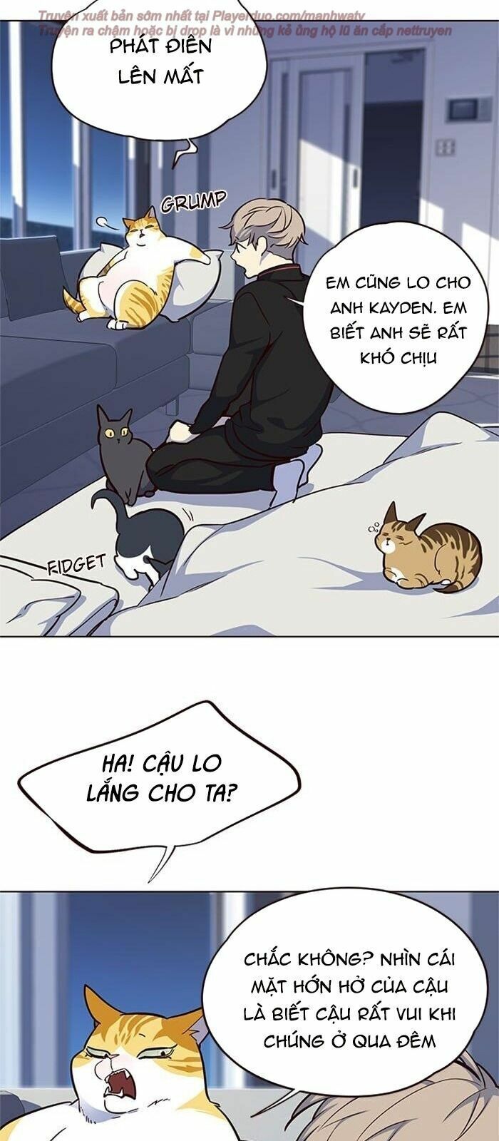 đọc truyện Hóa Thân Thành Mèo Chương 36 ảnh 78 tại Thiên Thai Truyện