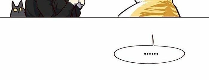 đọc truyện Hóa Thân Thành Mèo Chương 36 ảnh 81 tại Thiên Thai Truyện