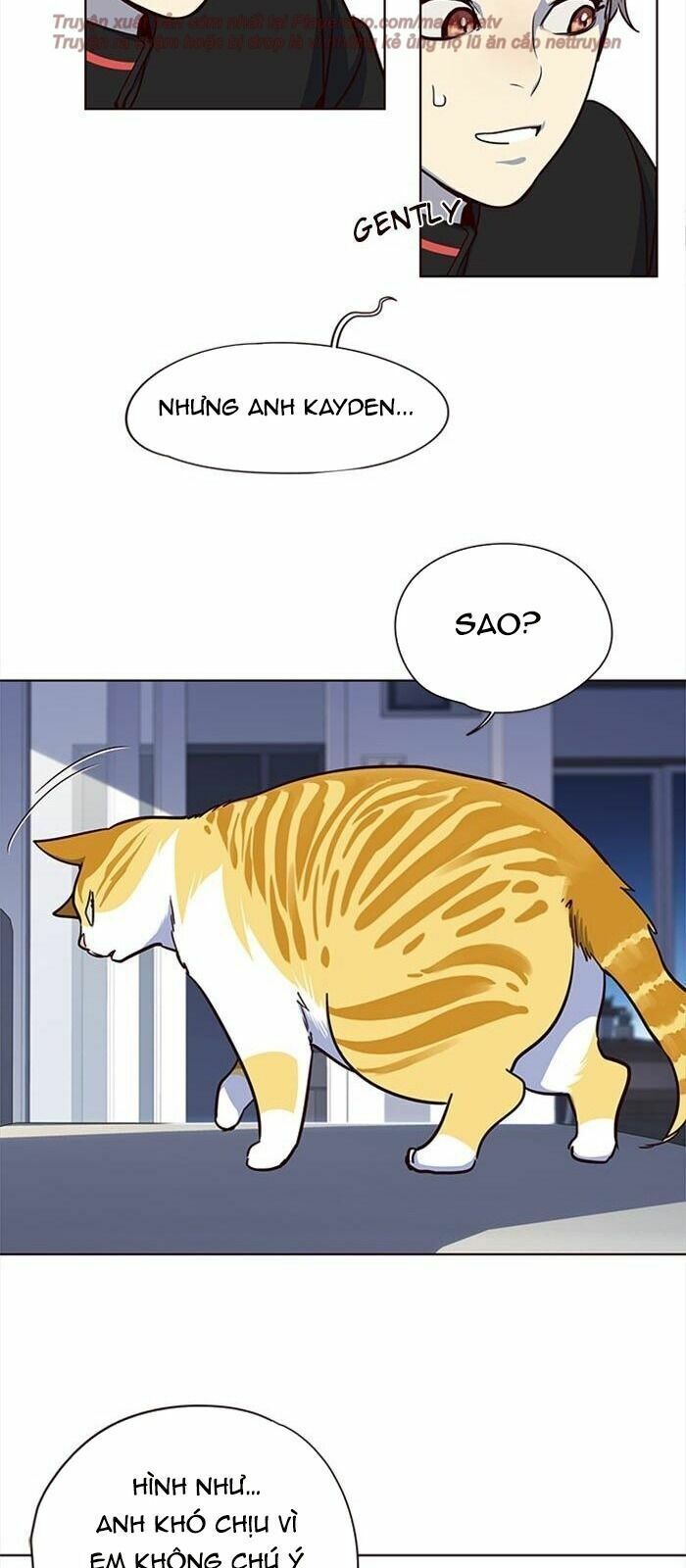 đọc truyện Hóa Thân Thành Mèo Chương 36 ảnh 86 tại Thiên Thai Truyện