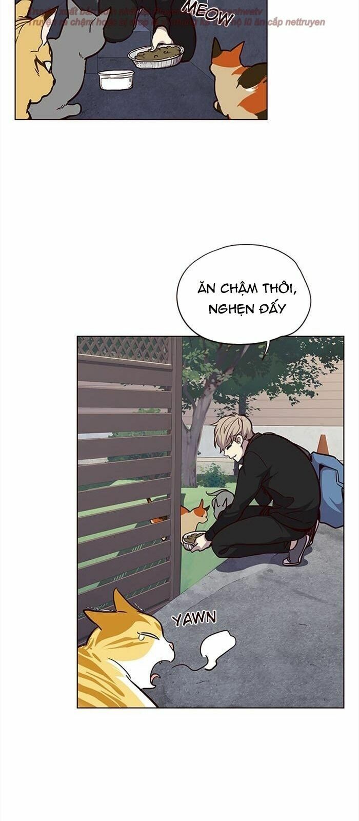 đọc truyện Hóa Thân Thành Mèo Chương 36 ảnh 96 tại Thiên Thai Truyện