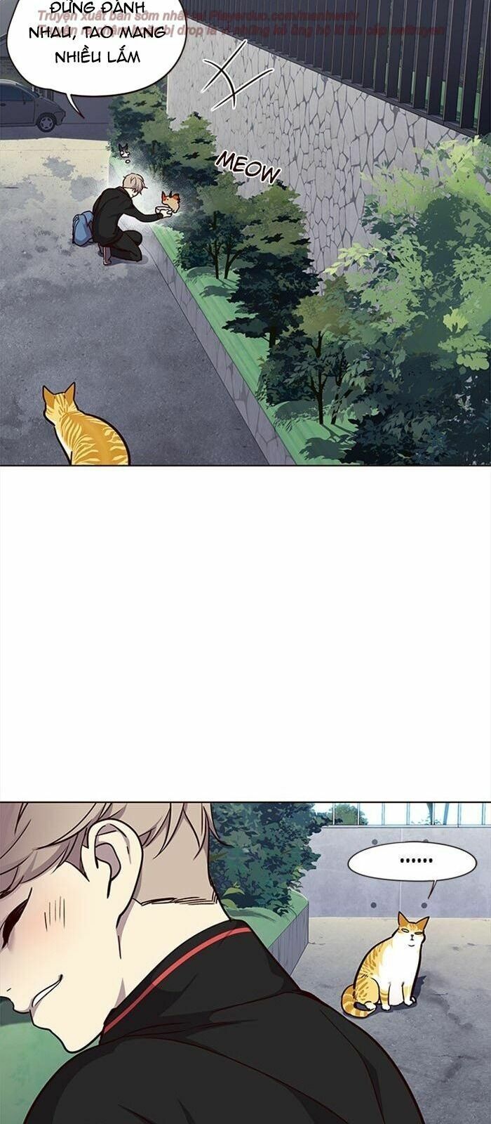 đọc truyện Hóa Thân Thành Mèo Chương 36 ảnh 98 tại Thiên Thai Truyện