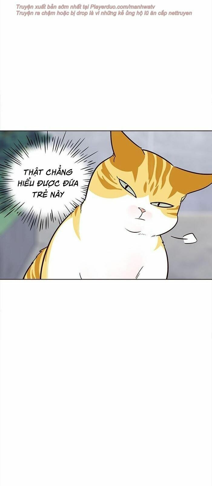 đọc truyện Hóa Thân Thành Mèo Chương 36 ảnh 100 tại Thiên Thai Truyện