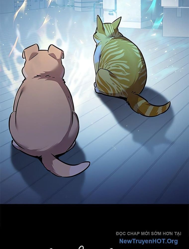 đọc truyện Hóa Thân Thành Mèo Chương 362 ảnh 28 tại Thiên Thai Truyện