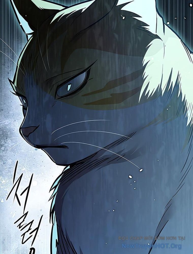 đọc truyện Hóa Thân Thành Mèo Chương 362 ảnh 32 tại Thiên Thai Truyện