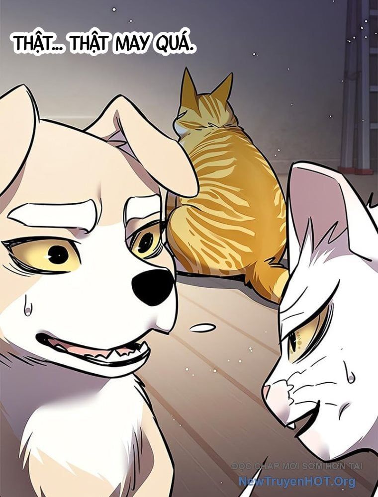 đọc truyện Hóa Thân Thành Mèo Chương 362 ảnh 35 tại Thiên Thai Truyện