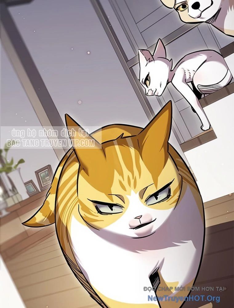 đọc truyện Hóa Thân Thành Mèo Chương 363 ảnh 116 tại Thiên Thai Truyện