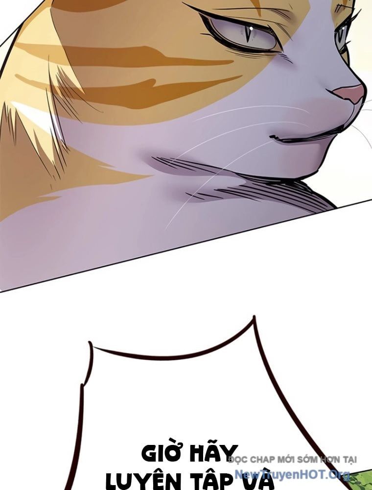 đọc truyện Hóa Thân Thành Mèo Chương 363 ảnh 127 tại Thiên Thai Truyện