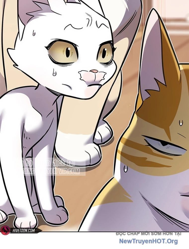 đọc truyện Hóa Thân Thành Mèo Chương 363 ảnh 142 tại Thiên Thai Truyện