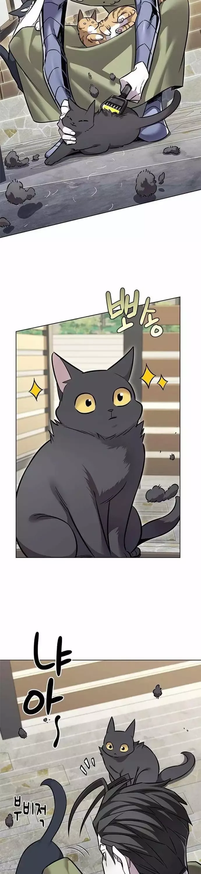 đọc truyện Hóa Thân Thành Mèo Chương 365 ảnh 5 tại Thiên Thai Truyện