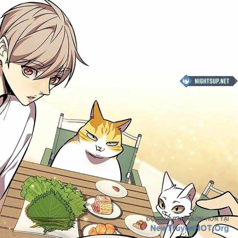 đọc truyện Hóa Thân Thành Mèo Chương 366 ảnh 162 tại Thiên Thai Truyện