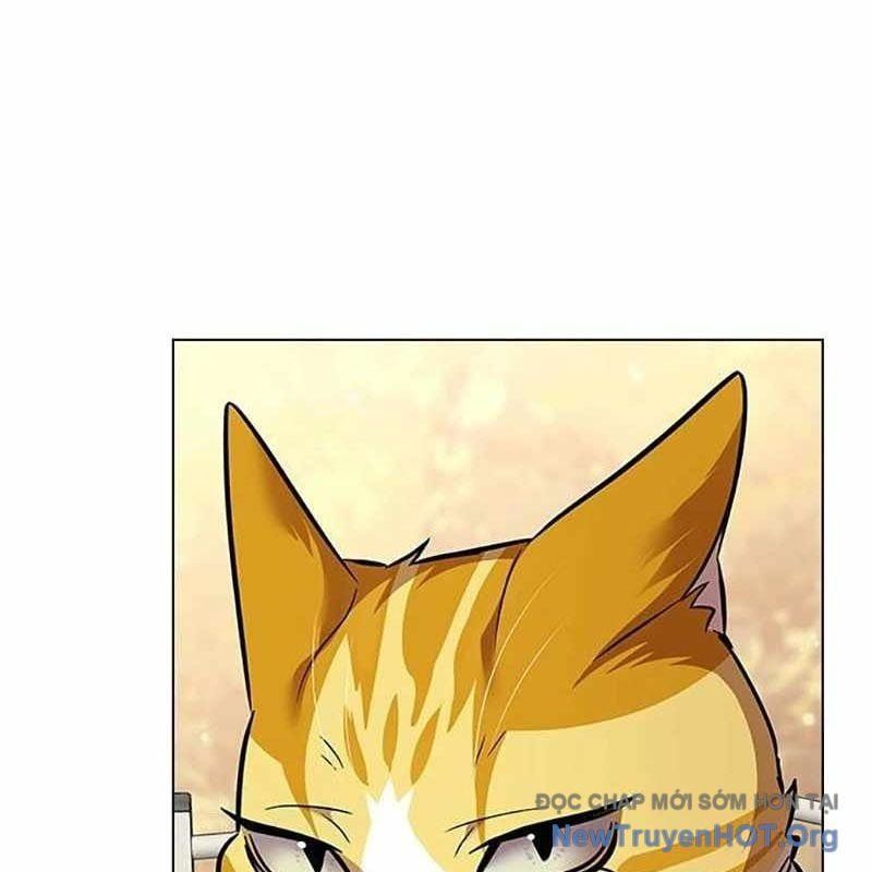 đọc truyện Hóa Thân Thành Mèo Chương 366 ảnh 164 tại Thiên Thai Truyện