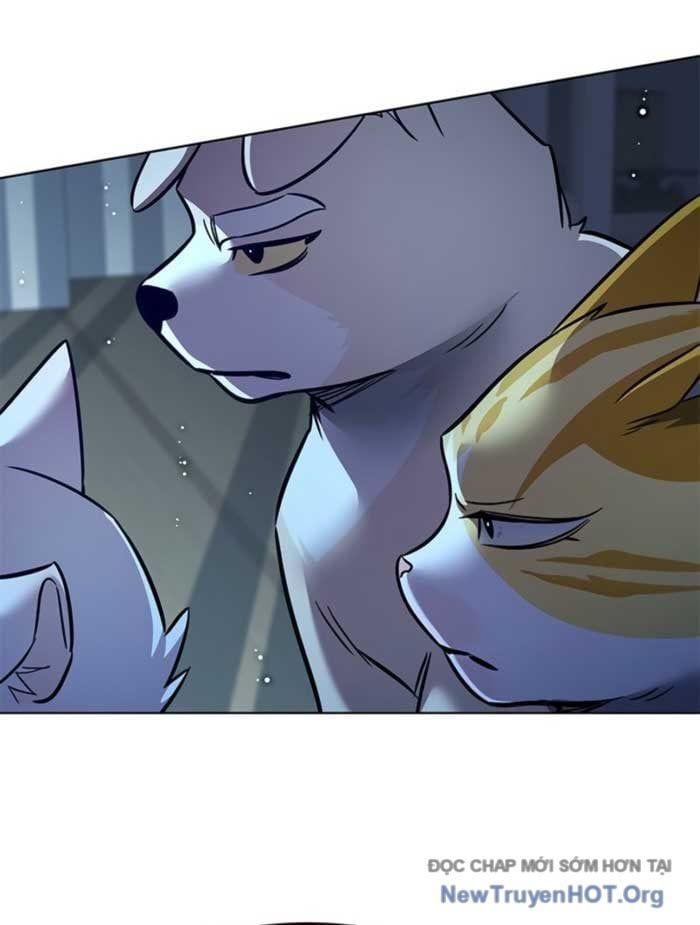 đọc truyện Hóa Thân Thành Mèo Chương 369 ảnh 82 tại Thiên Thai Truyện