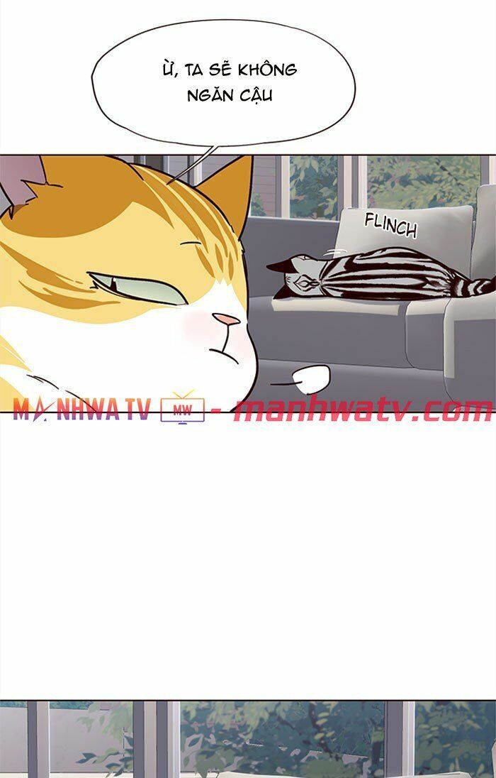 đọc truyện Hóa Thân Thành Mèo Chương 37 ảnh 35 tại Thiên Thai Truyện