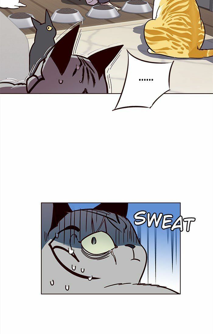 đọc truyện Hóa Thân Thành Mèo Chương 37 ảnh 38 tại Thiên Thai Truyện