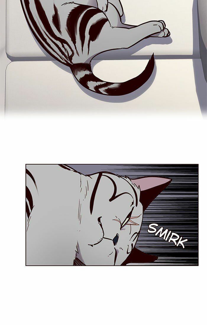 đọc truyện Hóa Thân Thành Mèo Chương 37 ảnh 42 tại Thiên Thai Truyện